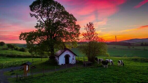 田园诗般的乡村景观与孤独的树下的日落天空