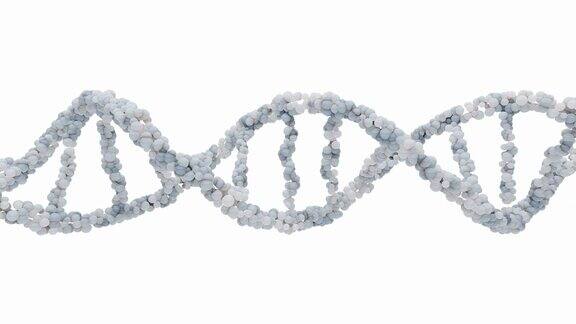 白色背景和绿色屏幕上的DNA分子可用于教育、科学或化妆品行业背景元素的动画