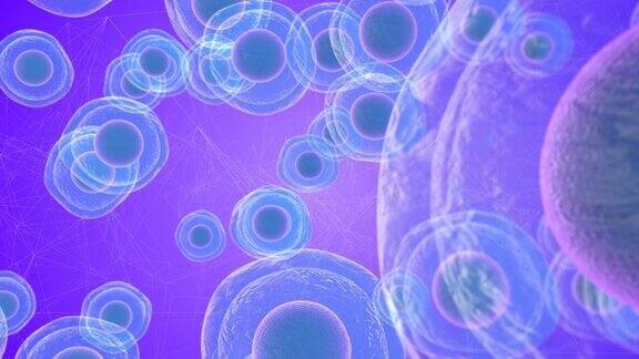 胚胎干细胞称为胚泡的早期胚胎医学研究3D渲染