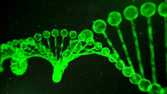 绿色DNA链