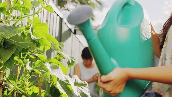 混合了十几岁前的女孩在家里浇灌自己的农产品和她的亚洲祖母在家里园艺可持续的生活方式多代家庭概念