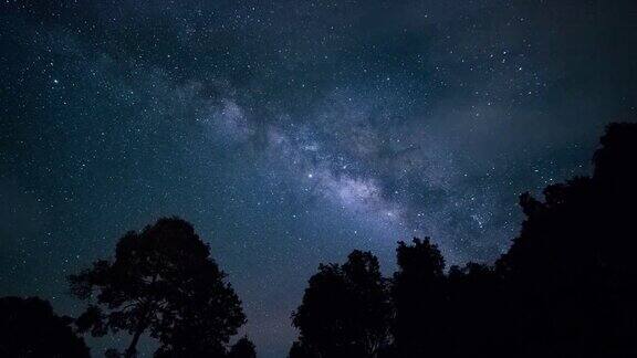 4k时间的银河和树的剪影在夜空