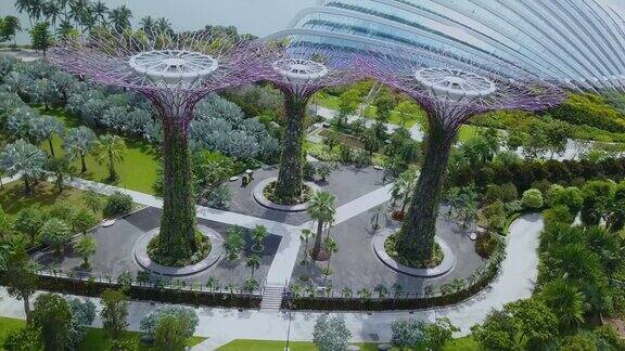 新加坡的格罗夫花园