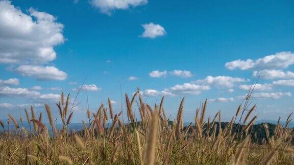 时隐时现的田野和蓝天与多云的自然景观背景