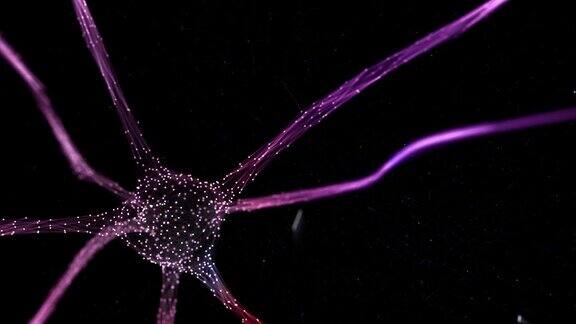 多色闪烁神经元细胞在黑色背景与复制空间