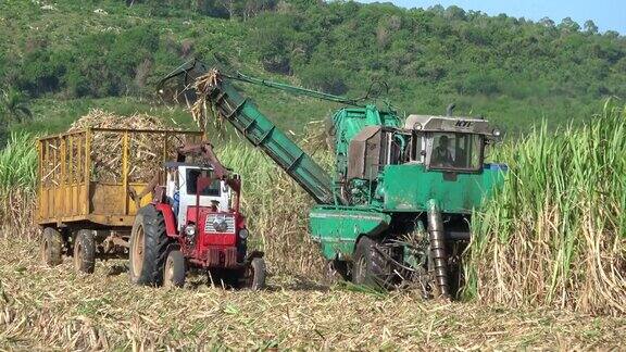 古巴圣克拉拉用联合收割机在田里收割甘蔗-古巴报道