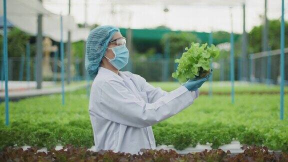 女科学家监测工作检查有机蔬菜