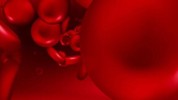 红细胞沿静脉运动的环形动画