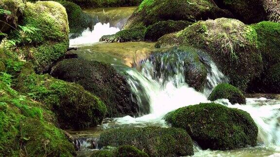 美丽的山溪和岩石上的苔藓