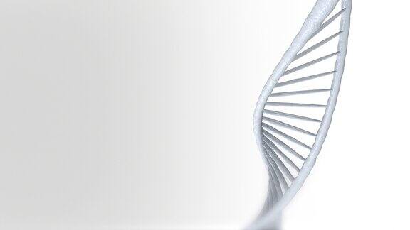 DNA3D动画全息图发光旋转DNA双螺旋科学和医学概念