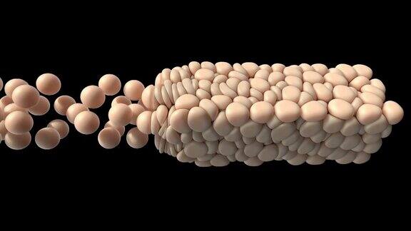 三维软球脂肪细胞医学组织设计动脉粥样硬化胆固醇4k