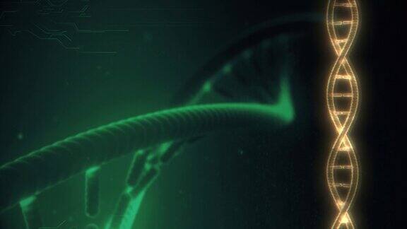 丛DNA螺旋分子模型结构DNA旋转未来数字背景抽象背景的科学和技术-股票视频