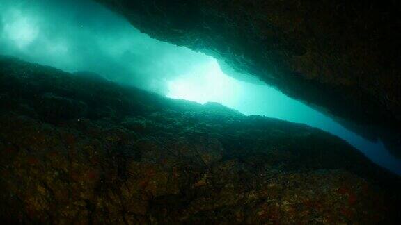 日本小笠原岛有许多巨型龙虾的海底峡谷