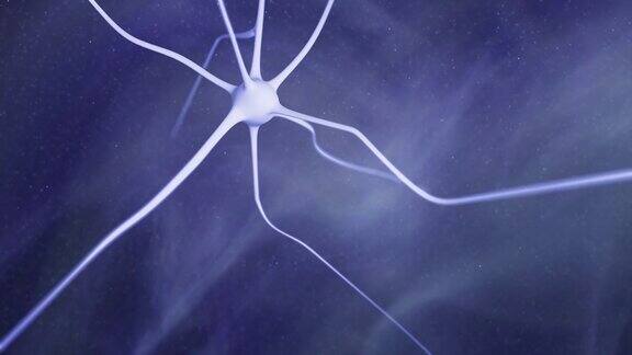 抽象脑内白色三维神经元细胞在紫蓝色光条纹运动的背景上