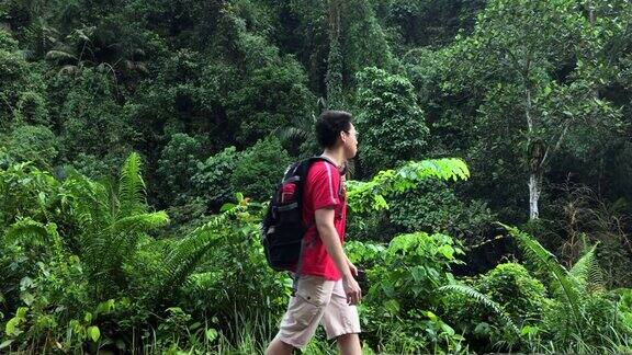 两个亚洲华人朋友在丛林中探险和散步