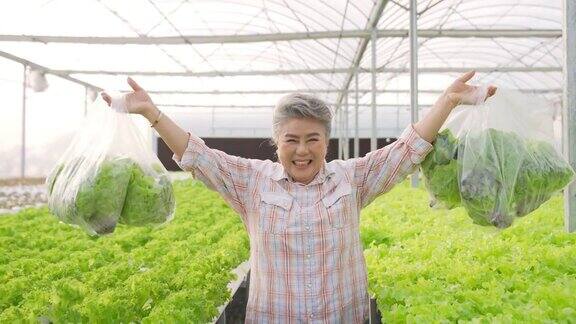 在温室花园4K亚洲女农民拿着袋装的有机生菜