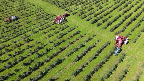 鸟瞰图农机在果园采摘樱桃