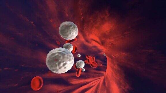 血液细胞与小颗粒在人体静脉内缓慢流动