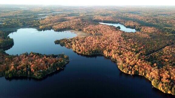 色彩缤纷的秋天森林和蓝色的湖空中无人机的顶部视图