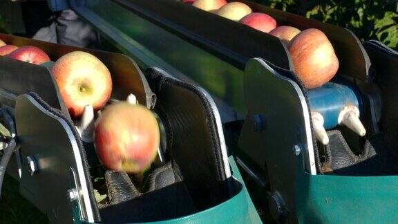 苹果采摘机与农场工人在果园