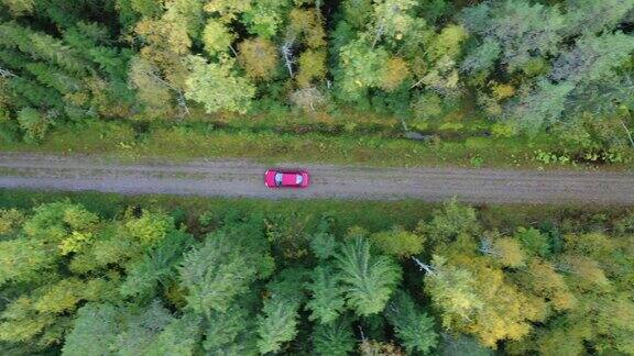 从上到下拍摄的汽车行驶在秋天的森林