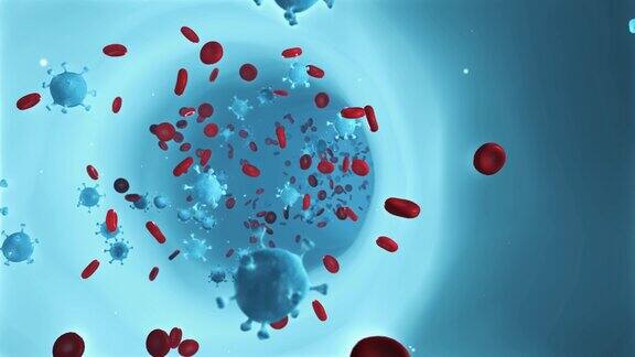 小血细胞通过血管的内窥镜POV