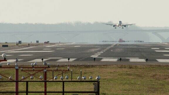 当飞机降落在背景时鸟类降落在跑道边缘的铁轨上
