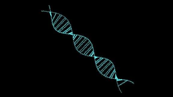 DNA数字结构科学生物技术动画3D旋转