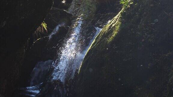 瀑布-阿尔泰自然保护区