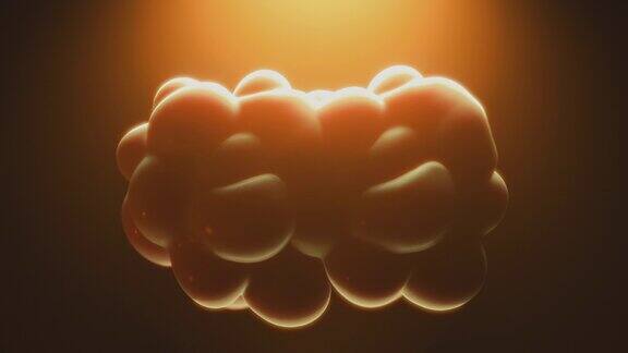 细胞分裂有丝分裂艺术生物学理科背景橙色的评分3d动画