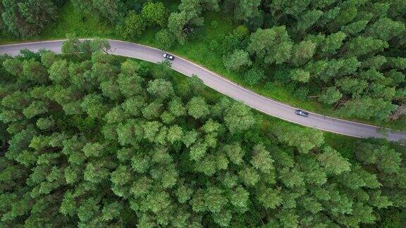 鸟瞰图黑色汽车行驶在柏油路穿越广阔的森林在夏日航拍汽车行驶在松树林中的道路森林自驾游夏日风光