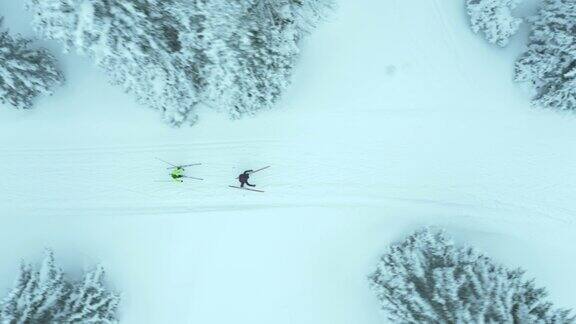 男子和女子越野滑雪空中表演