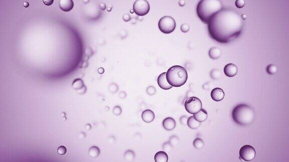 液体泡泡滴在紫色的背景上飞舞