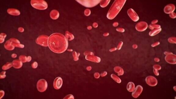 血细胞循环流动