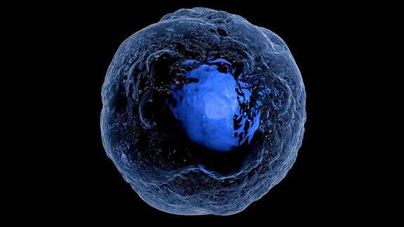 真核细胞运动的三维动画在黑色的背景