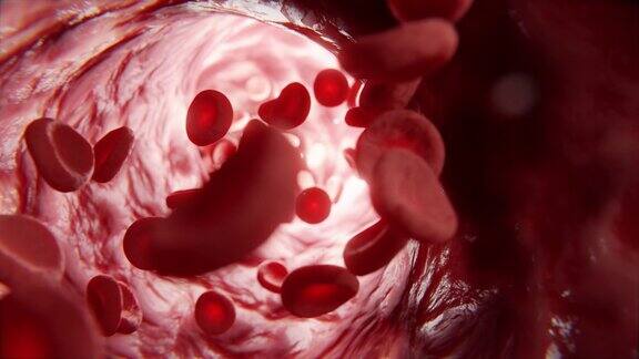红细胞随血流在人体内静脉输送氧气的三维动画