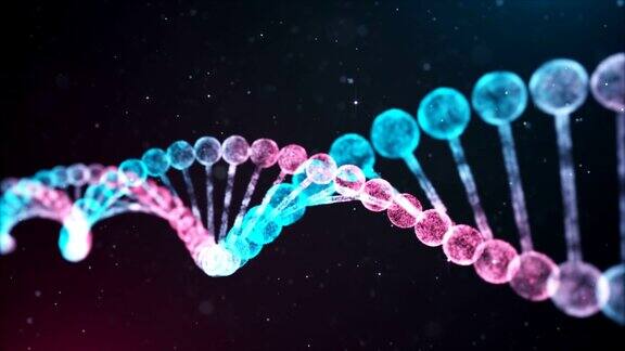 双色DNA链环