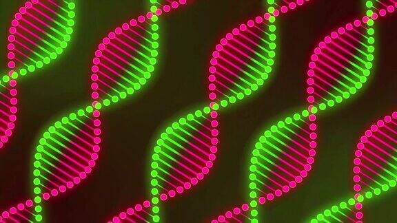 DNA旋转背景的数字动画数字合成科学与生物学DNA和RNA细胞4K抽象技术连接线电影广告商业介绍过渡镜头