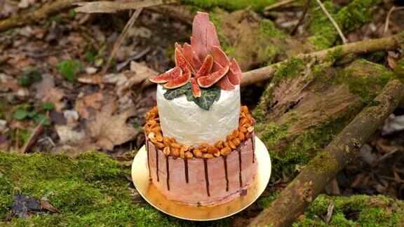 婚礼蛋糕与坚果在两层和轻奶油与新鲜水果装饰仪式前放在森林中央的树干上覆盖着黑色的苔藓