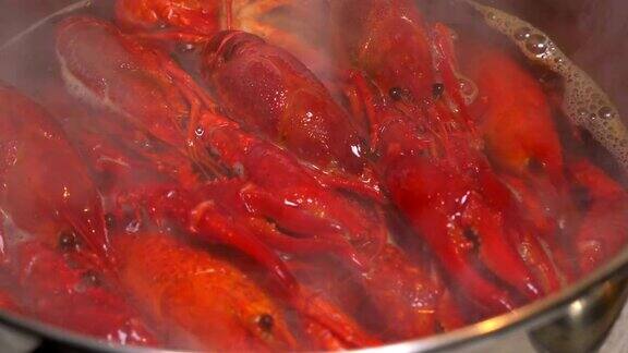 红煮龙虾