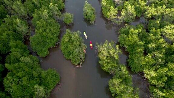 鸟瞰图的独木舟巡航通过河流和热带森林与日落天空的倒影在水
