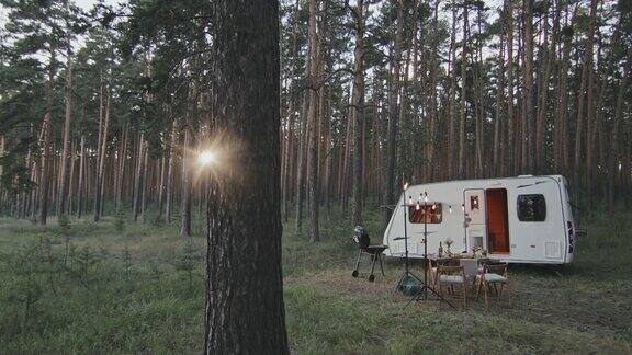 森林中露营地的宁静风景