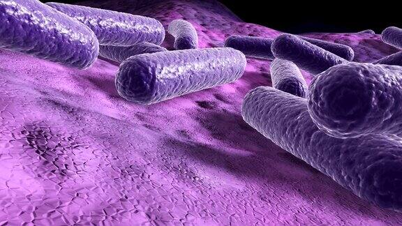 表面上的细菌3d渲染的微观特写飞槽动画