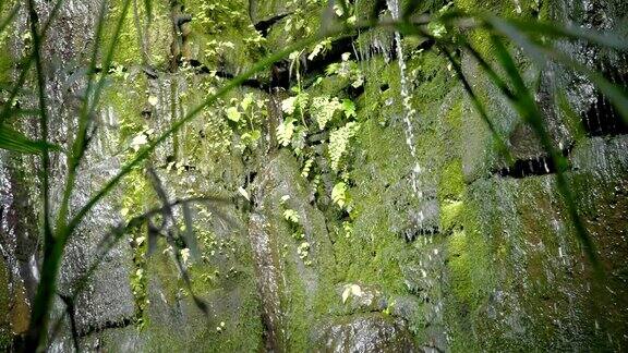 热带雨林中的热带瀑布水滴落在石头上水滴落在石头上