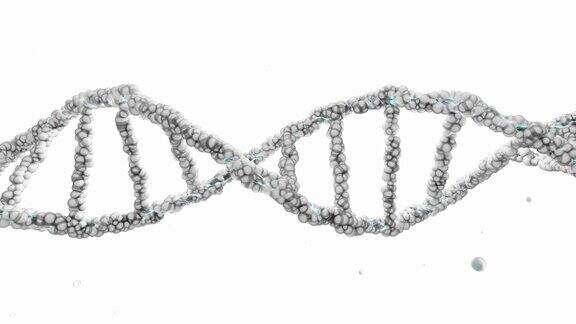 DNA双螺旋结构和微粒漂浮在白色背景上动画无缝循环和绿屏科学与遗传信息概念设计