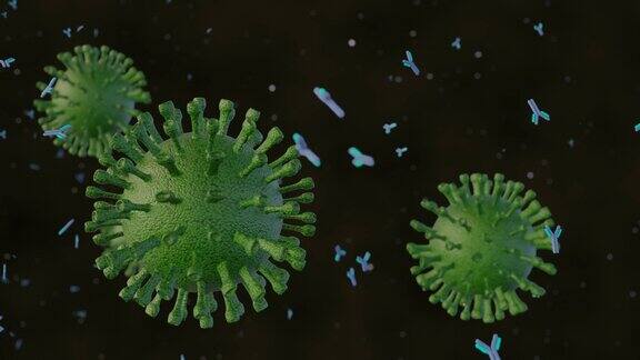抗体通过结合和中和病毒来攻击病毒