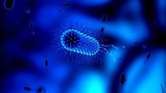 大肠杆菌细胞或细菌或病毒漂浮在显微镜下