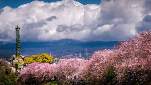 樱花盛开在日本富士山时光流逝从右向左移动