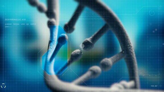 4KDNA背景-可循环