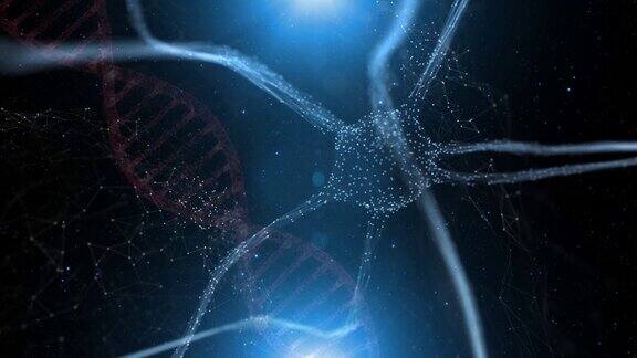 摘要大脑中的蓝色神经元细胞和数字旋转dna结构动画背景
